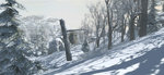 Assassin's Creed III Gets Snowjob Screenshots News image