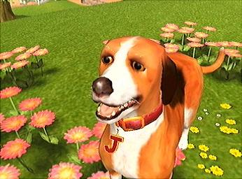 _-Dogs-Life-PS2-_