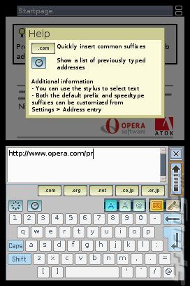 Nintendo DS Lite Browser - DS/DSi Screen
