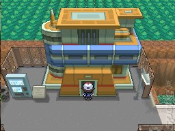 Pokemon Black Screens