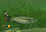 Rapala Tournament Fishing - Wii Screen