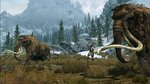 Related Images: Ten Lovely Skyrim Screenshots News image