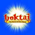 Boktai: The Sun is in Your Hand - GBA Artwork