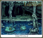 Deep Labyrinth - DS/DSi Artwork