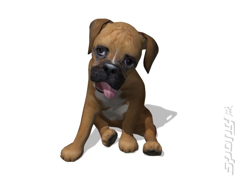 Petz Sports: Dog Playground - Wii Artwork