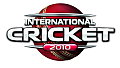 International Cricket 2010 - PS3 Artwork