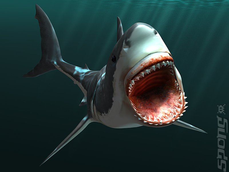 Jaws Unleashed - PS2 Artwork