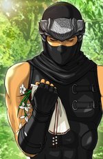 Ninja Gaiden: Dragon Sword - DS/DSi Artwork