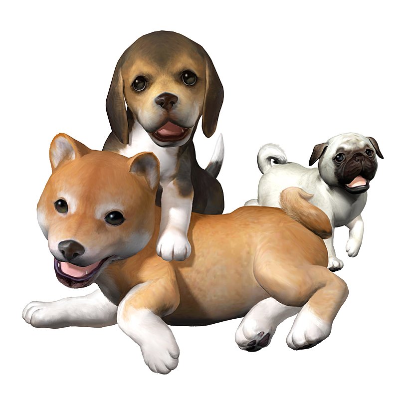 Parents go barking mad for Nintendogs this Xmas News image