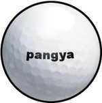 Pangya! Golf with Style - Wii Artwork