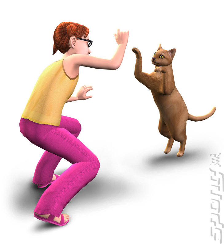 The Sims 2: Pets - DS/DSi Artwork