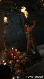 Tomb Raider - PC Artwork