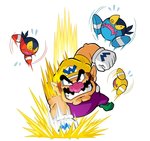 Wario Land: The Shake Dimension - Wii Artwork