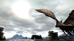 Dragons Ahoy! New Lair Screens News image