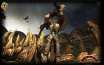 Fury-Ous New Gamecock MMO Vid News image