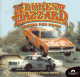 Dukes of Hazzard: Racing For Home (PC)