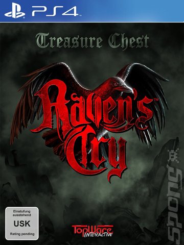 Raven's Cry - PS4 Cover & Box Art