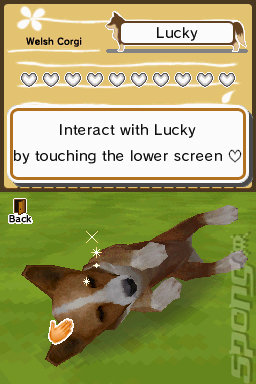 Animal Paradise - DS/DSi Screen