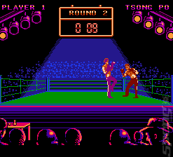 Best of the Best: Championship Karate - NES Screen