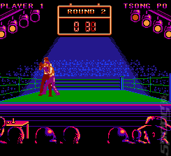Best of the Best: Championship Karate - NES Screen
