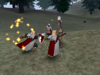 Dark Age of Camelot - PC Screen