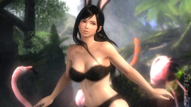 Dead or Alive 5 - PS3 Screen