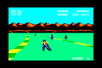Enduro Racer - C64 Screen