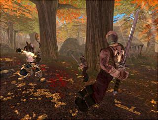 Fable: The Lost Chapters - PC Screen