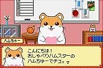 Hamster Paradise: Pure Heart - GBA Screen