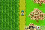Harvest Moon: Friends of Mineral Town - GBA Screen
