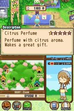 Harvest Moon: The Tale of Two Towns - DS/DSi Screen
