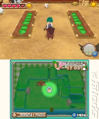 Harvest Moon 3D: A New Beginning - 3DS/2DS Screen