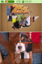 Jigapix Pets - DS/DSi Screen