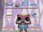 Littlest Pet Shop 3: Biggest Stars: Blue Team - DS/DSi Screen