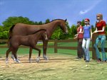 My Riding Stables - DS/DSi Screen