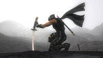 Ninja Gaiden Too Tiring for Motion Control News image