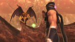 Related Images: Official: Ninja Gaiden Sigma II's Boob Bounce News image
