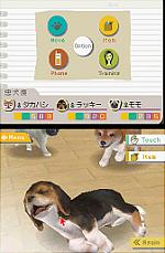 Related Images: Nintendogs Explained - Barking Mad or Man's Best Friend? News image