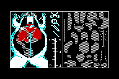 Operation Frog - C64 Screen