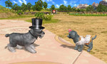 Petz: Countryside - 3DS/2DS Screen