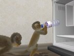 Petz: Monkey Madness - Wii Screen