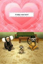Petz: My Monkey Family - DS/DSi Screen