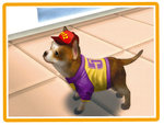 Petz: My Puppy Family - PSP Screen