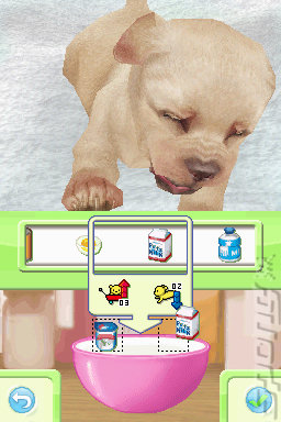 Petz: Nursery - DS/DSi Screen