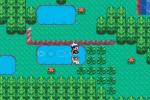 Related Images: Pokemon Advance screens spill forth News image