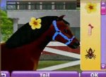 Pony Friends 2 - DS/DSi Screen