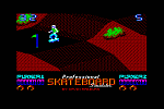 Professional Skateboard Simulator - C64 Screen