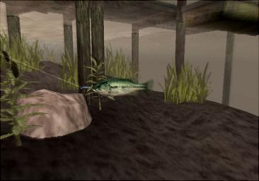 Reel Fishing III - PS2 Screen