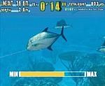 Sega Marine Fishing - PC Screen