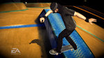 Skate Demo Grinds Onto LIVE Tomorrow News image